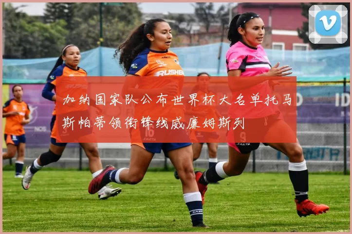 加纳国家队公布世界杯大名单托马斯帕蒂领衔锋线威廉姆斯列