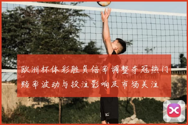 欧洲杯体彩胜负倍率调整夺冠热门赔率波动与投注影响及市场关注