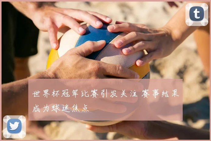 世界杯冠军比赛引发关注 赛事结果成为球迷焦点